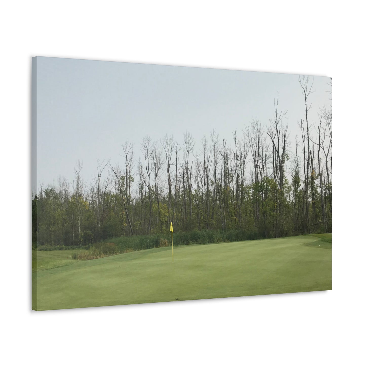 Minnesota National | Wrapped Canvas Print