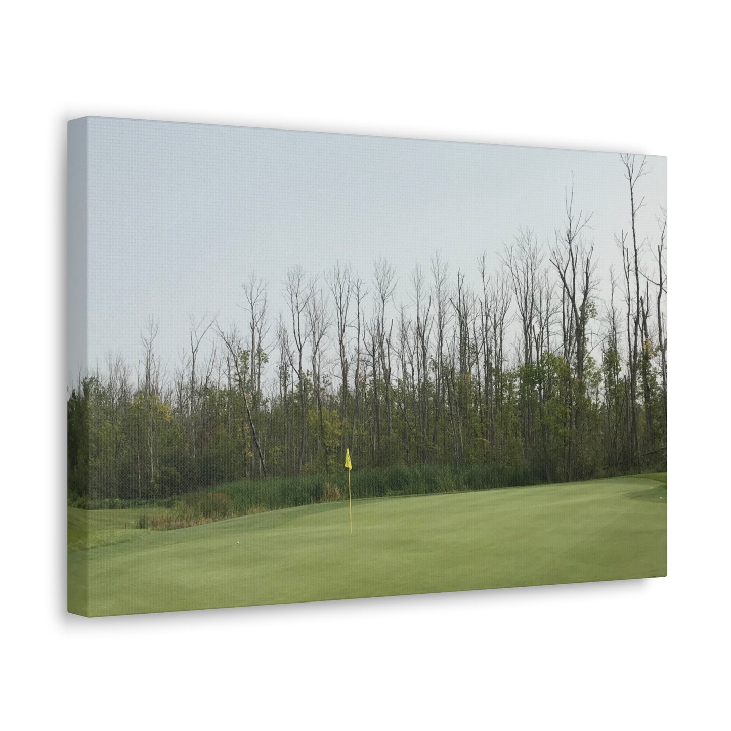 Minnesota National | Wrapped Canvas Print