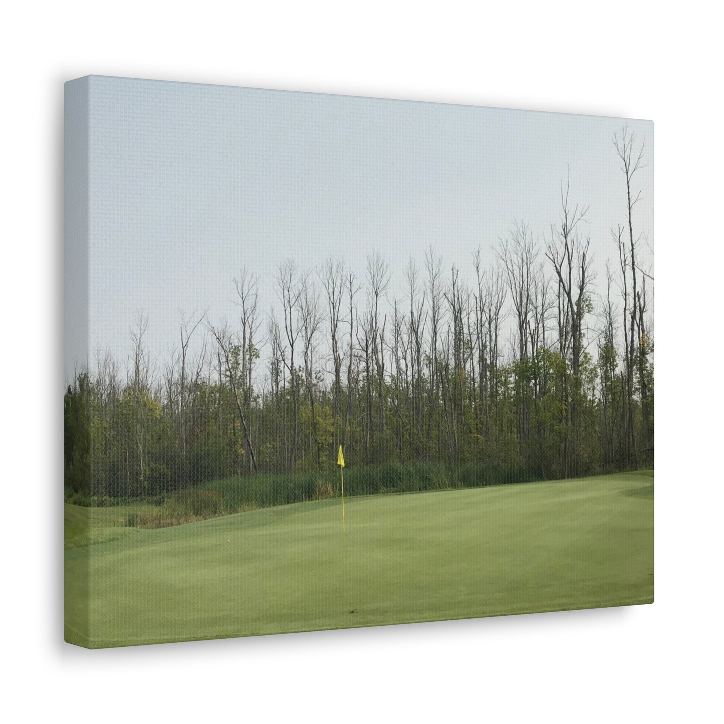 Minnesota National | Wrapped Canvas Print