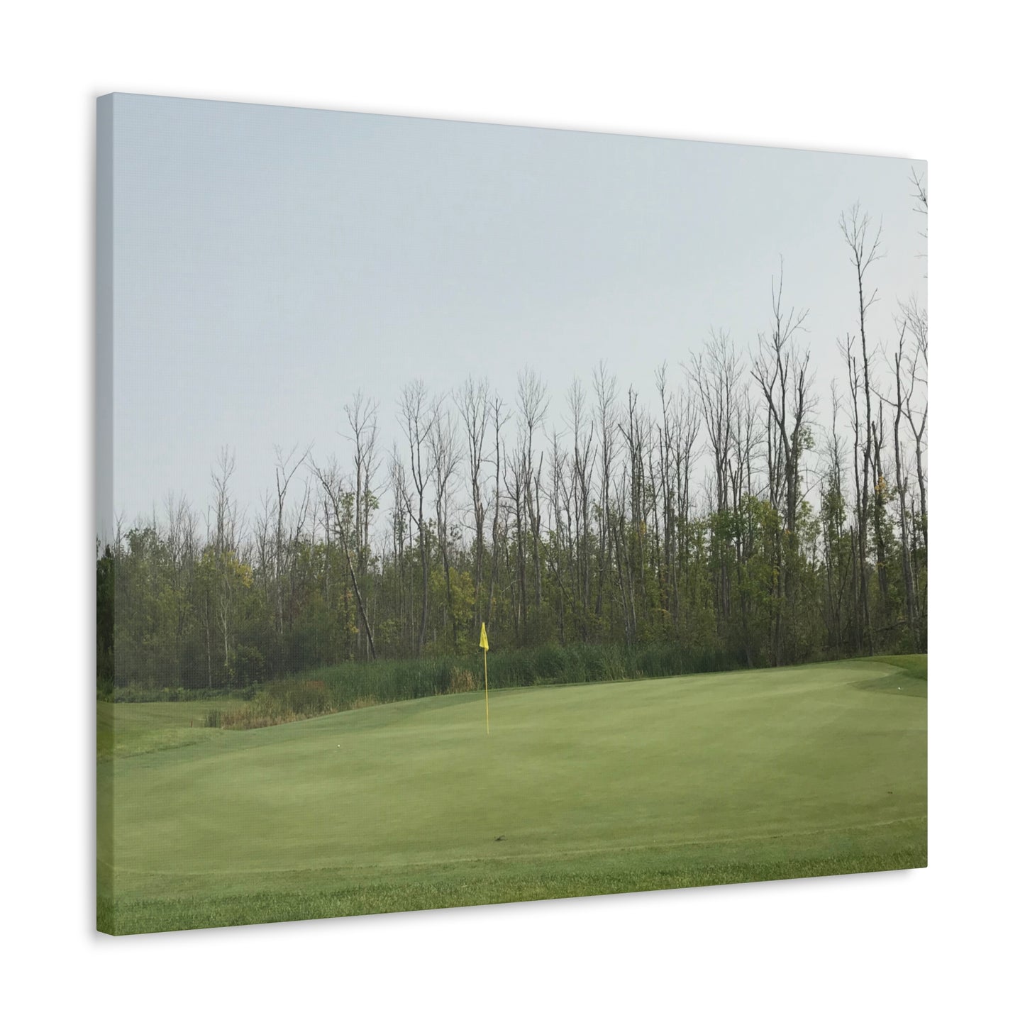 Minnesota National | Wrapped Canvas Print