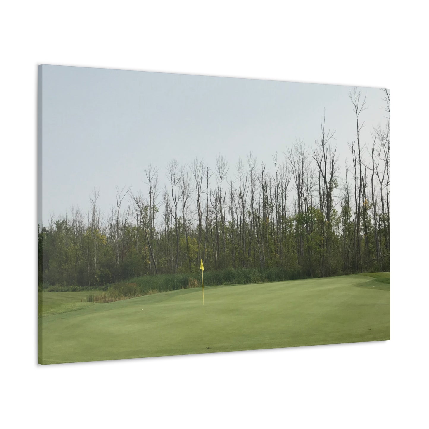 Minnesota National | Wrapped Canvas Print