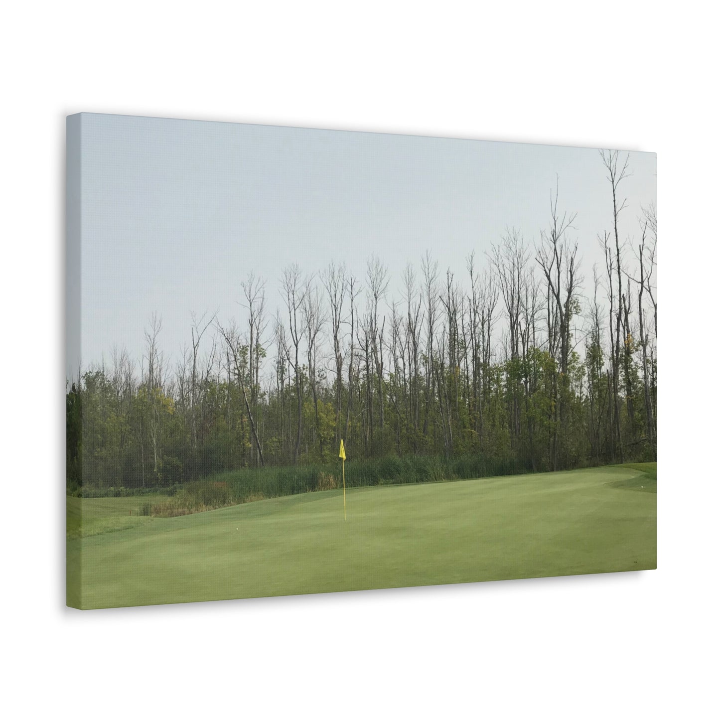 Minnesota National | Wrapped Canvas Print